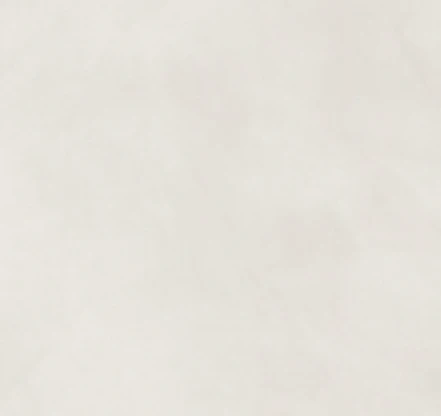N22L
