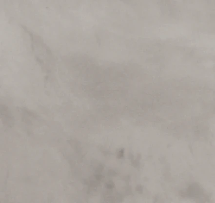 N30L